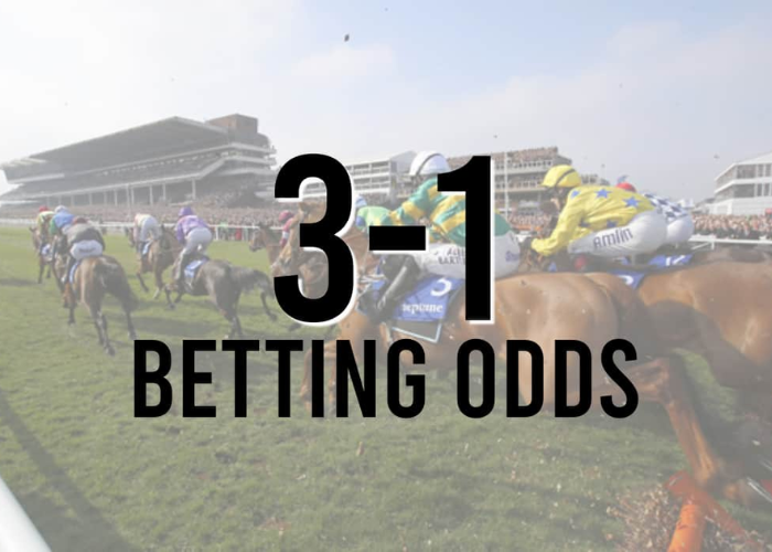 The Basics of 31 Betting A Crash Course