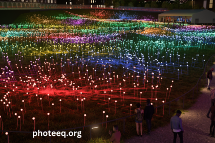 Field of Light at Freedom Plaza Photos