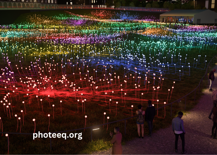 Field of Light at Freedom Plaza Photos